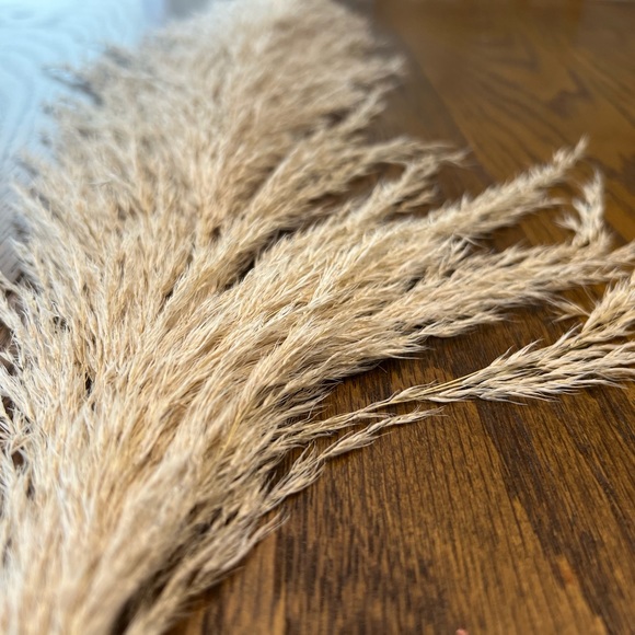 Natural Pampas Grass- 3 Stems - Picture 12 of 13